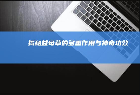 揭秘益母草的多重作用与神奇功效